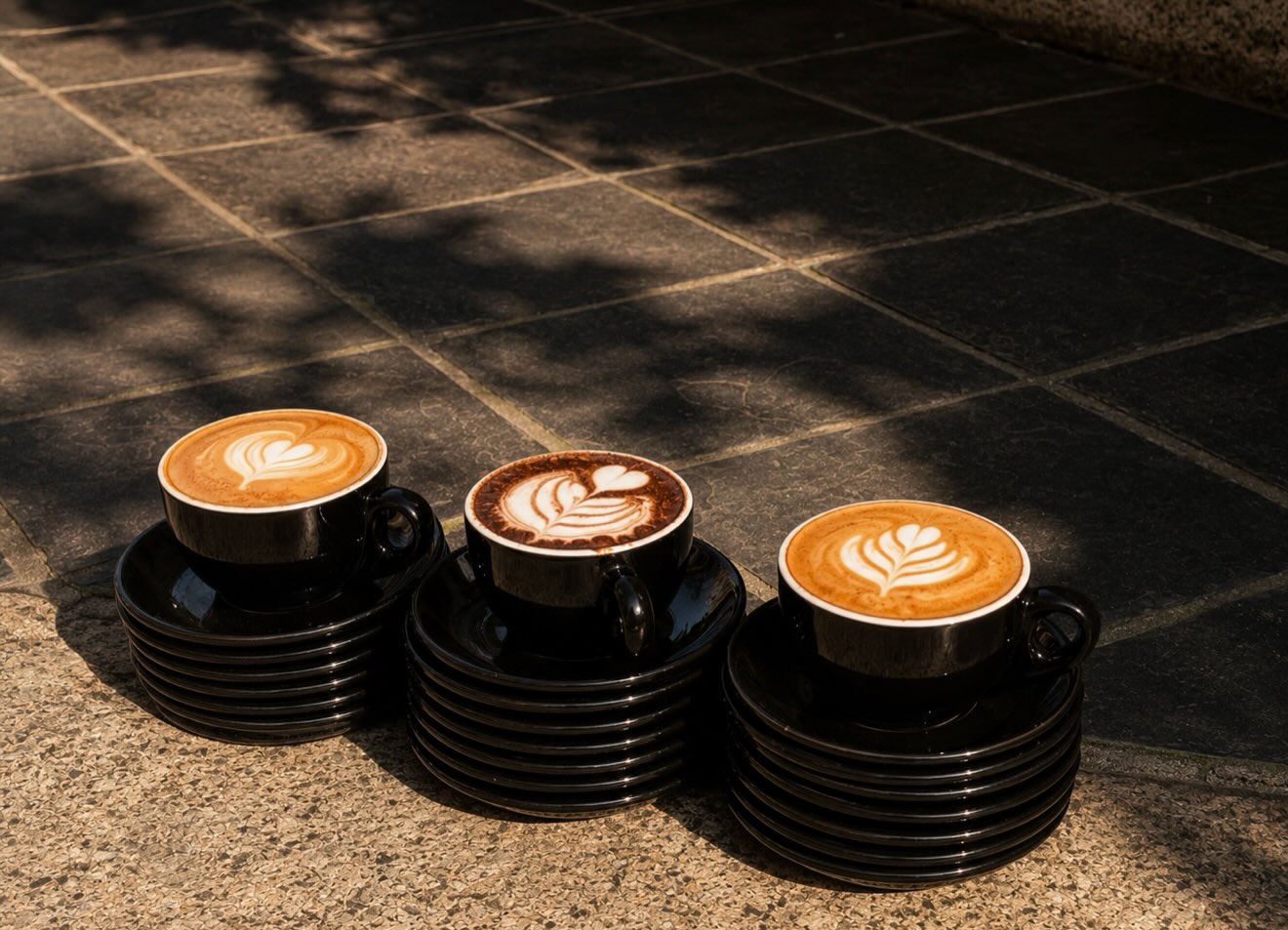 Three Morning Mojo coffees in the sunshine