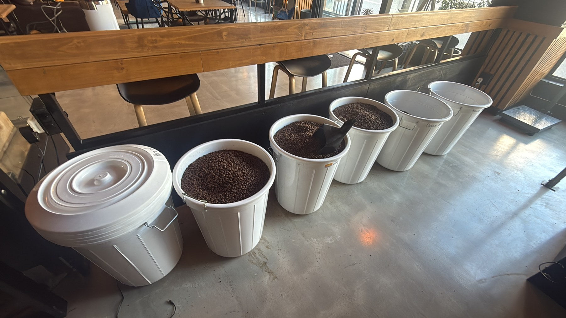 Freshly roasted coffee beans in storage containers at Morning Mojo